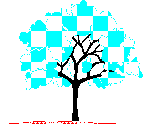 BAUM.png