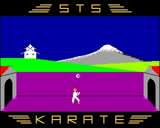 karate.jpg