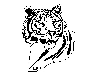 tiger.jpg