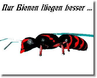 Nächstes Bild