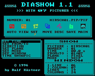 DSH 1.1