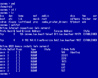 KERMIT Telnet Linux Netstat